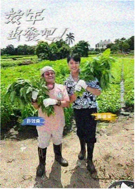 逆流的河 纪实综艺缩略图